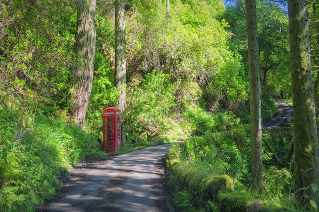 Phone box in the woods